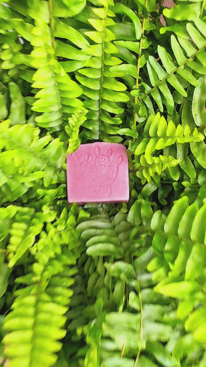 Savon au suif, eucalyptus et lavande